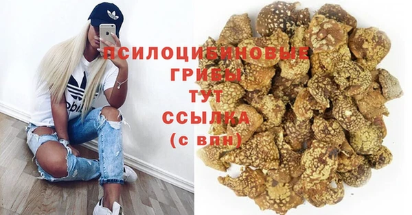MESCALINE Нязепетровск