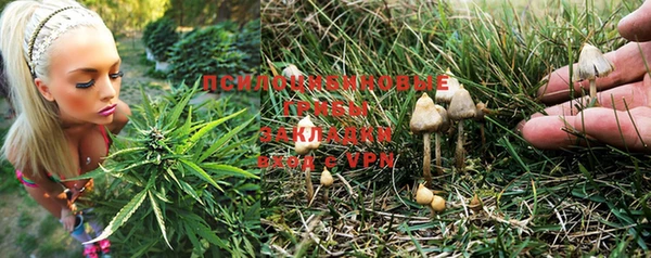 спиды Остров