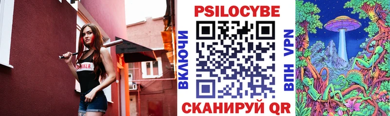 Галлюциногенные грибы Psilocybe  закладка  Арск 